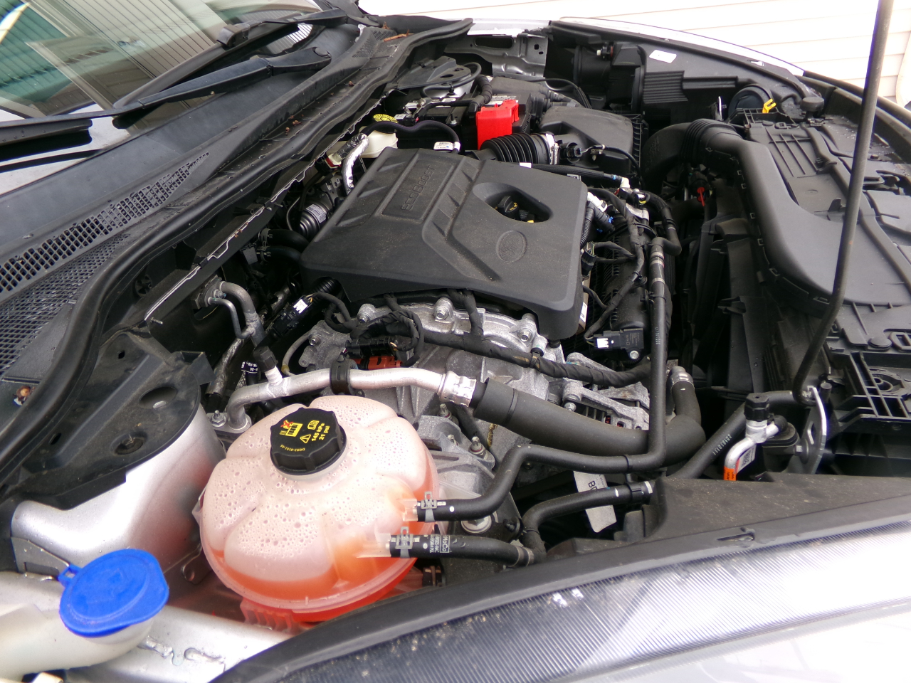 Ford ESCAPE SE  2020