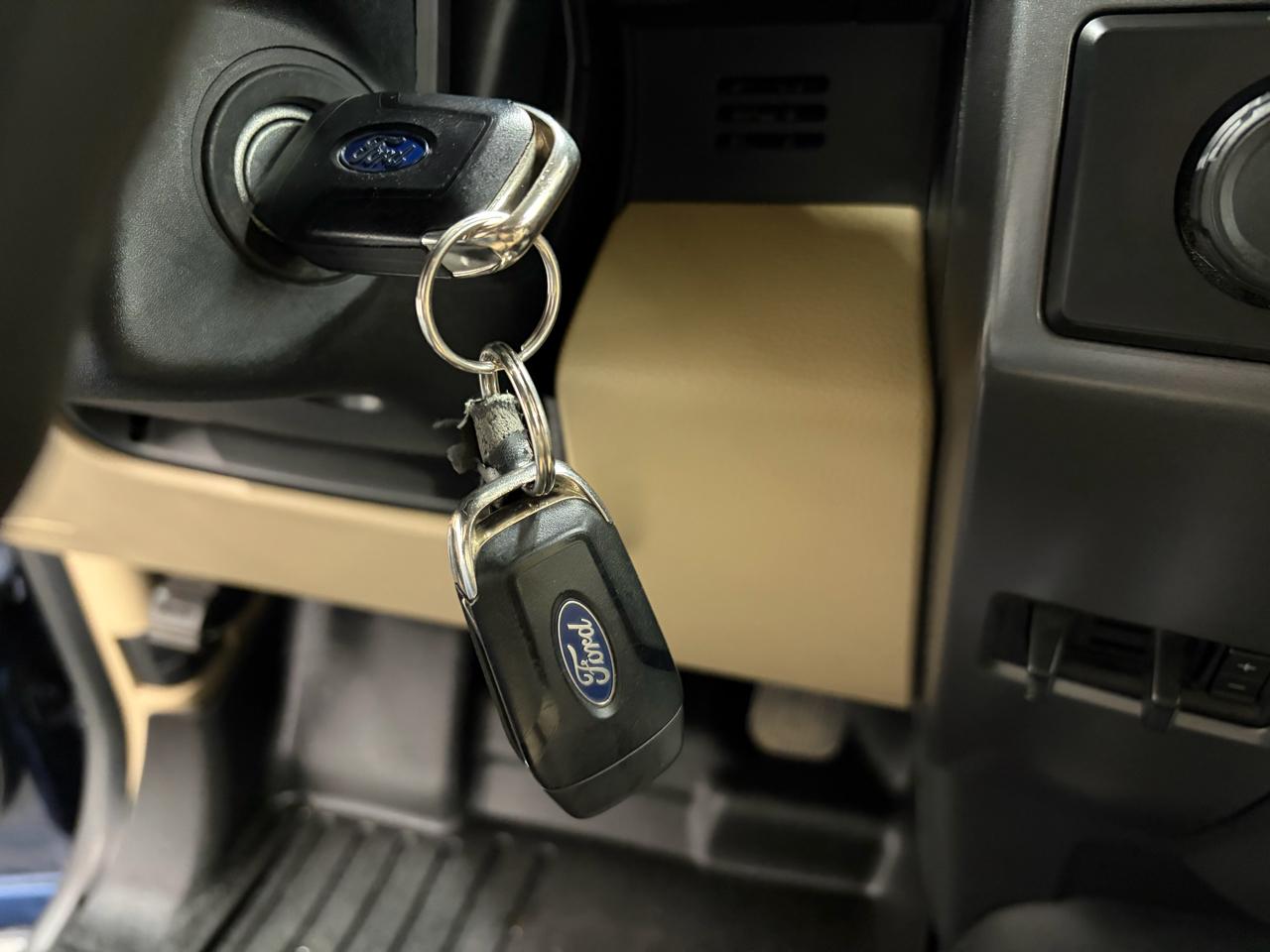 Ford F-150 4WD Reg Cab 126" XLT 2015