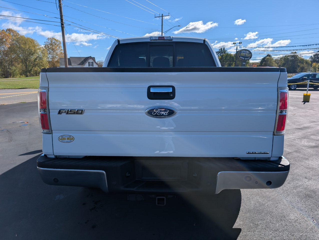 Ford F-150 4WD SuperCrew 145" XLT 2011