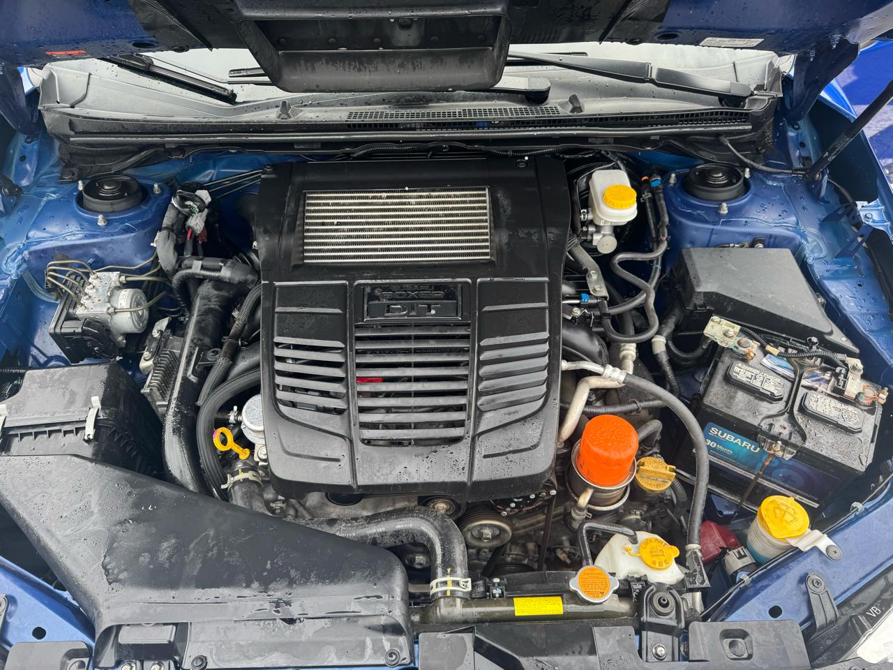 Subaru WRX Manual 2021