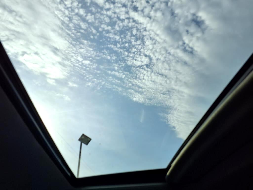 Chevrolet Silverado 1500 4WD Crew Cab 147" LT Trail Boss 2022