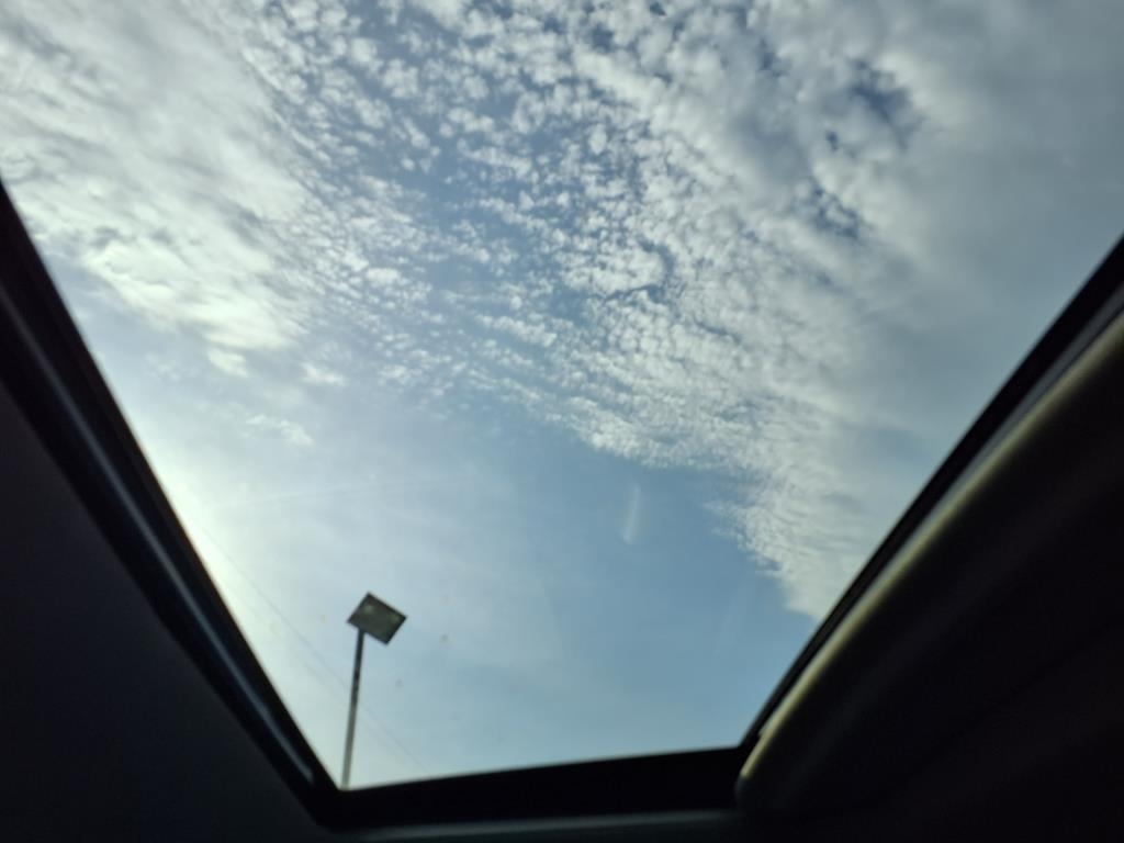 Chevrolet Silverado 1500 4WD Crew Cab 147" LT Trail Boss 2022