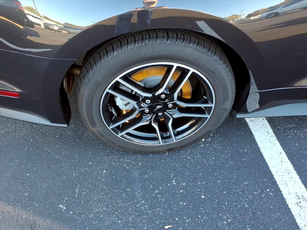 Ford Mustang GT Fastback 2022