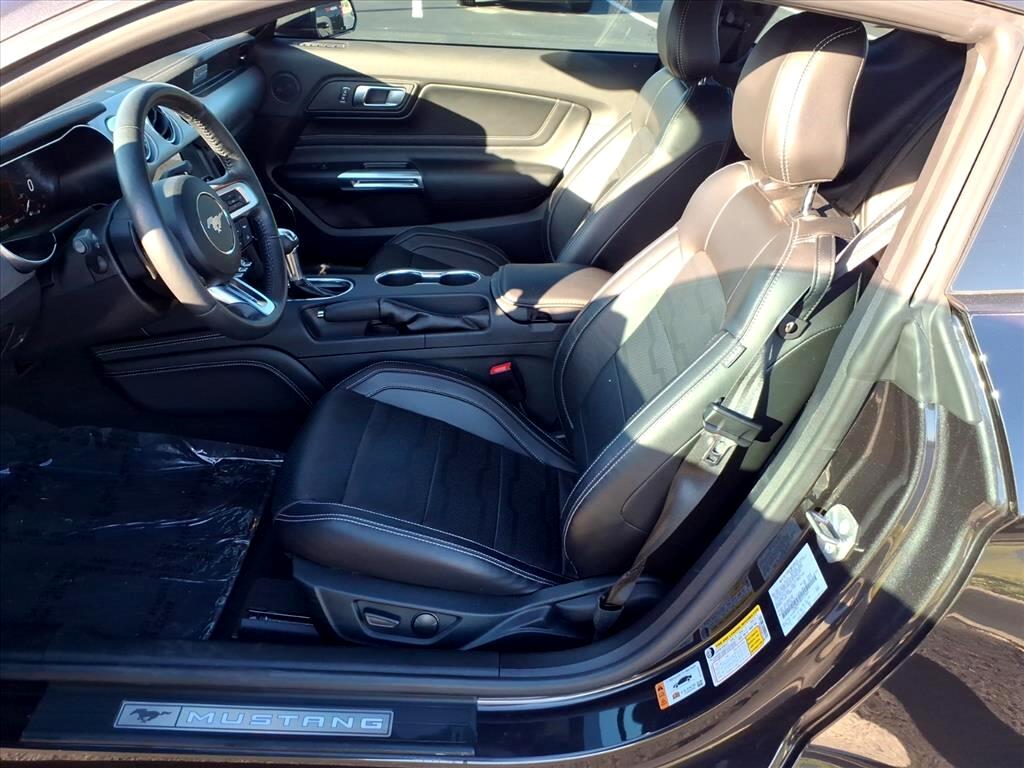 Ford Mustang GT Fastback 2022