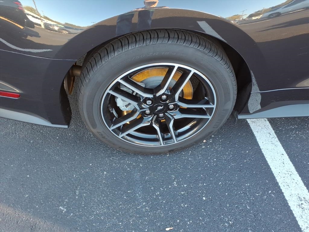 Ford Mustang GT Fastback 2022