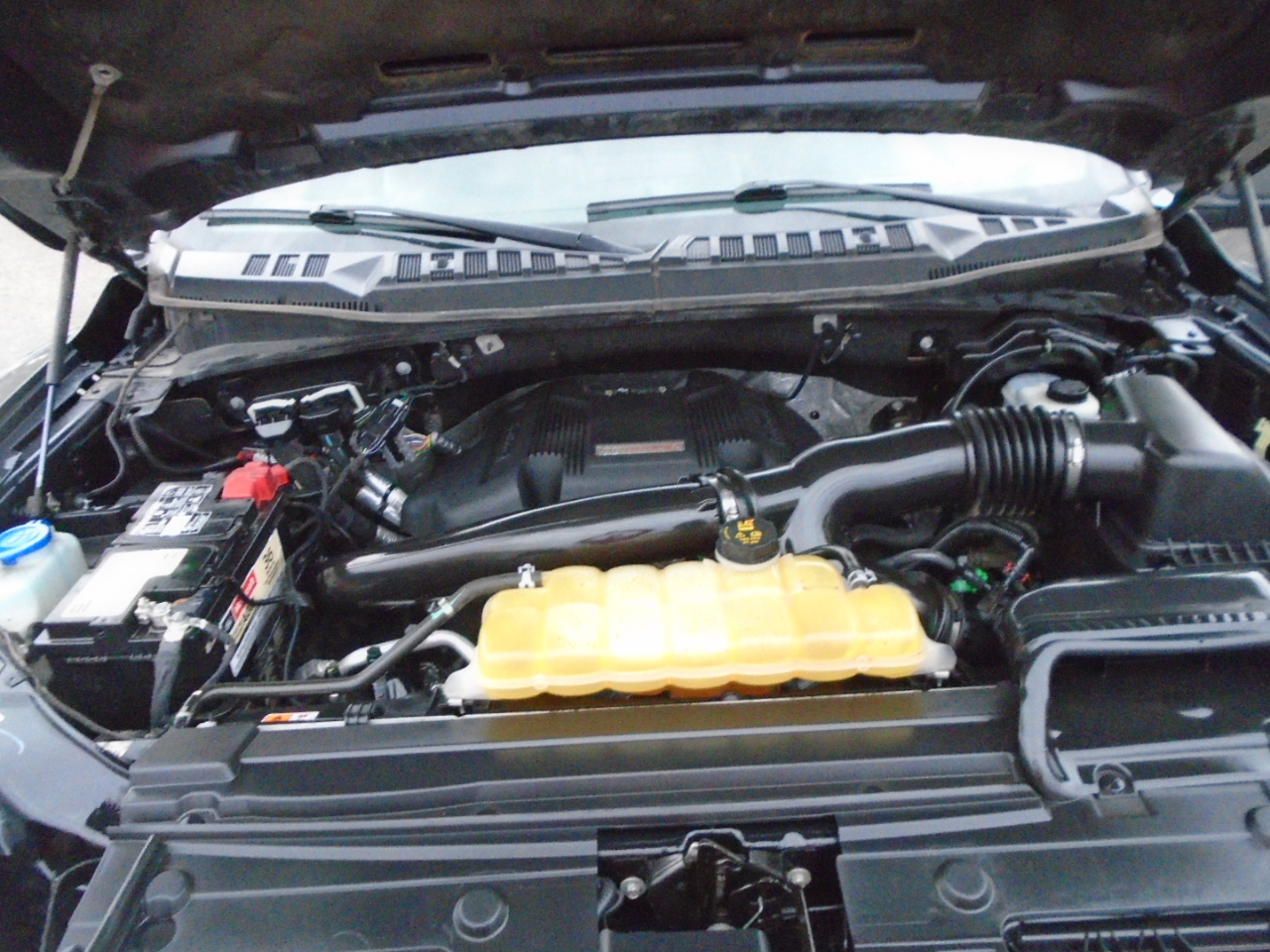 Ford F-150 Raptor SuperCrew 4WD 2018