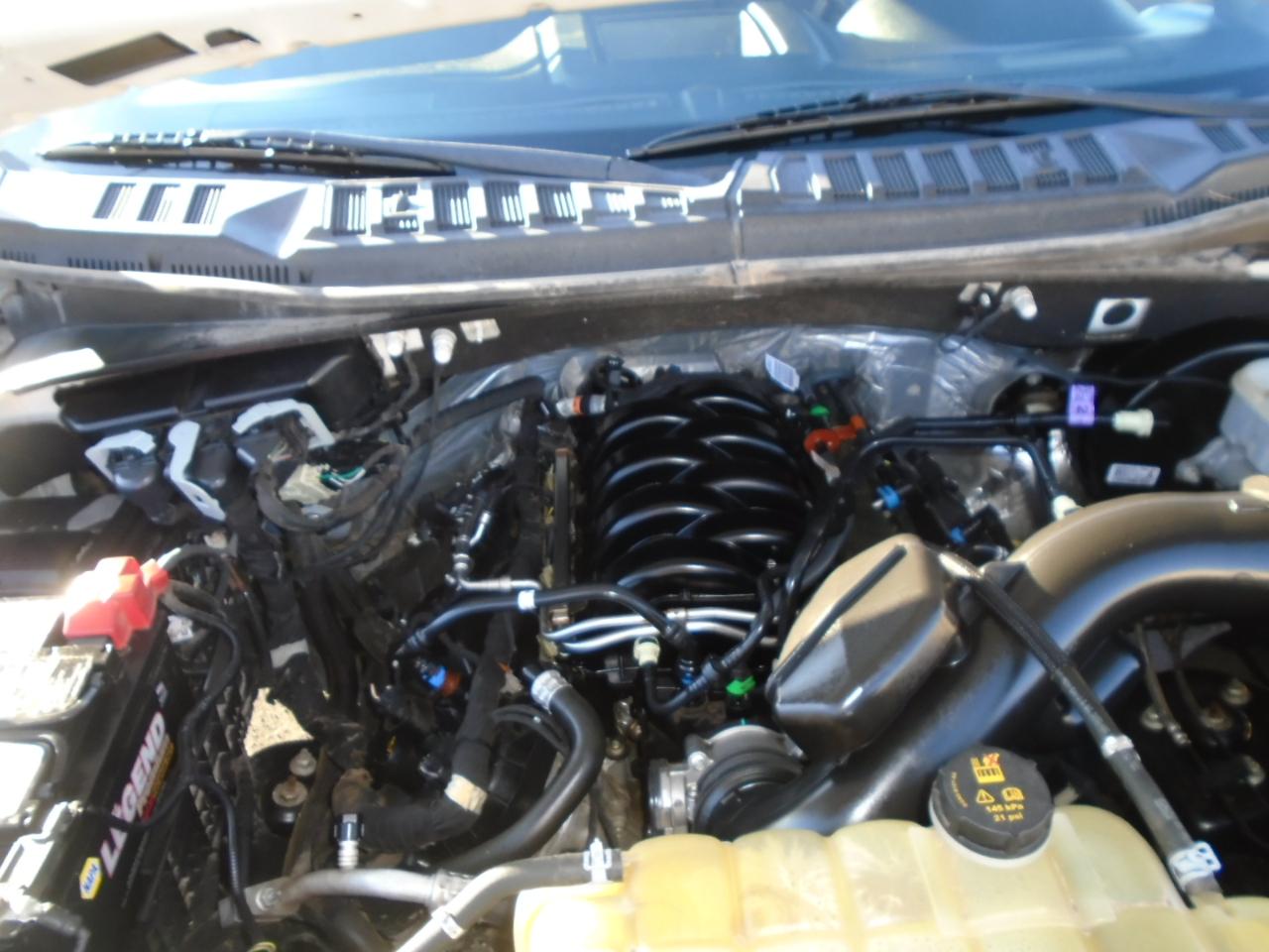 Ford F-150 XL 8-ft. Bed 2WD 2019