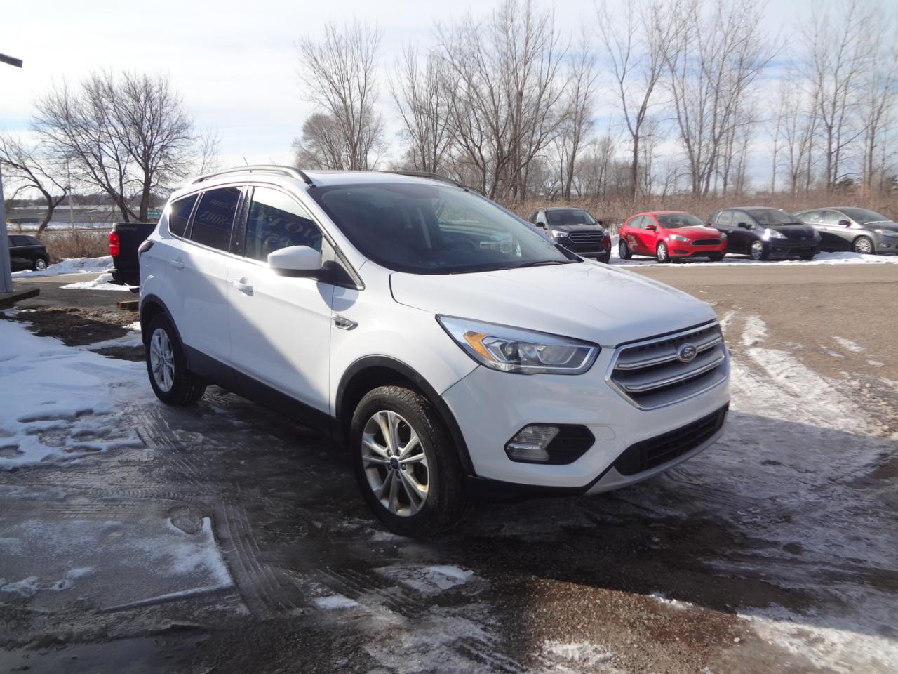 Ford Escape SE 4WD 2017