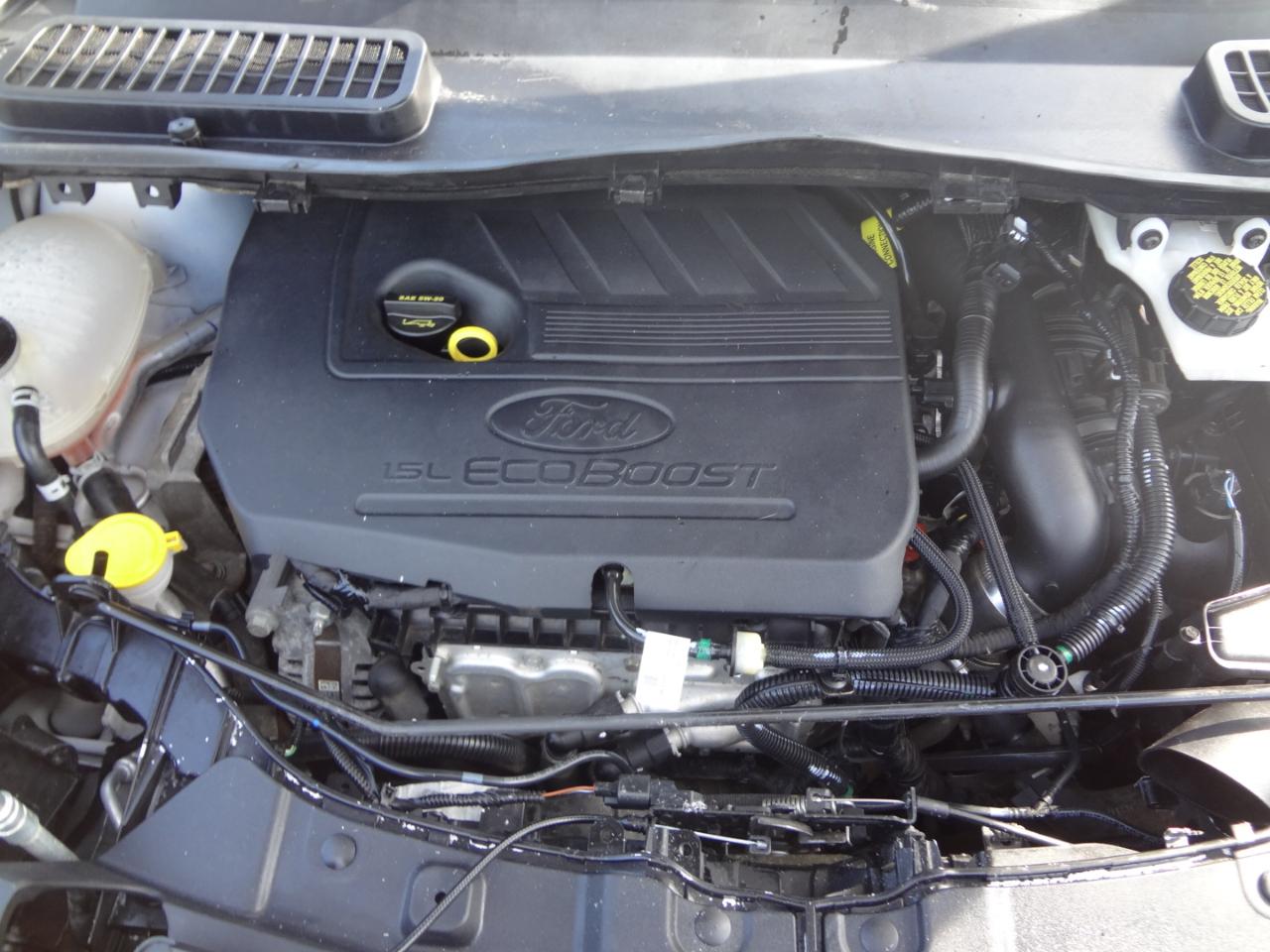 Ford Escape SE 4WD 2019