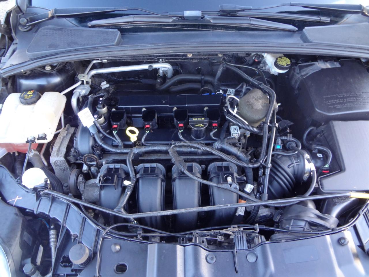 Ford Focus SE Hatch 2014