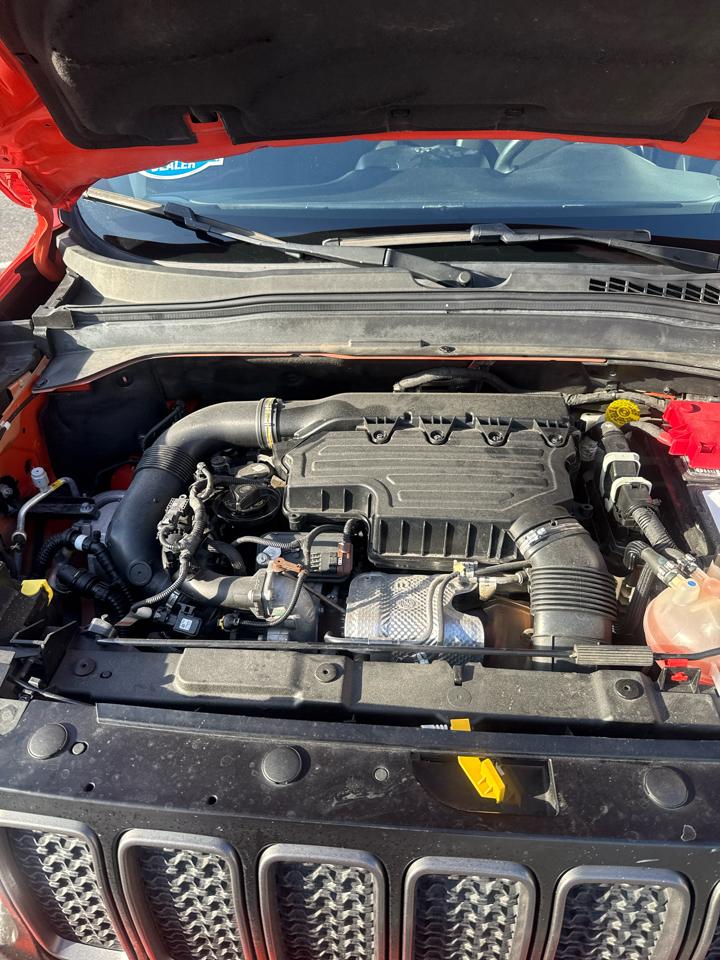 Jeep Renegade Trailhawk 4x4 2021