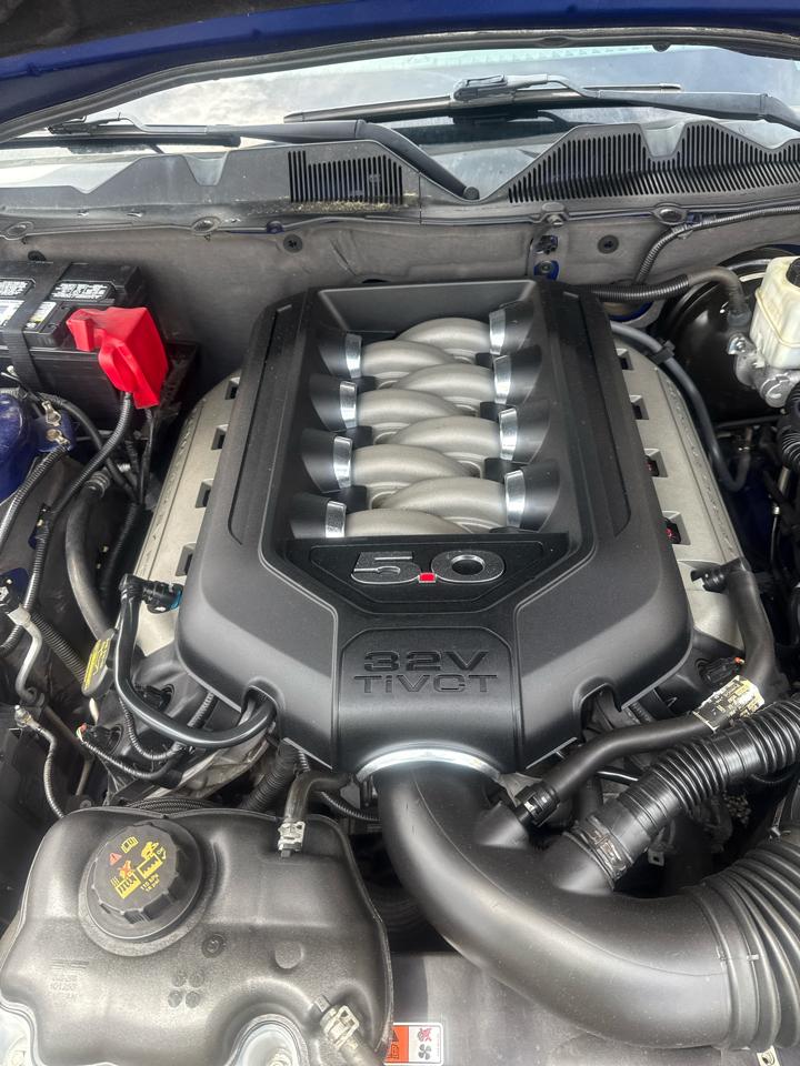 Ford Mustang 2dr Cpe GT 2013