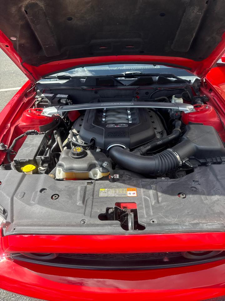 Ford Mustang 2dr Cpe GT 2014