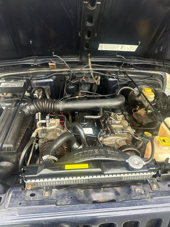 Jeep Wrangler photo 14