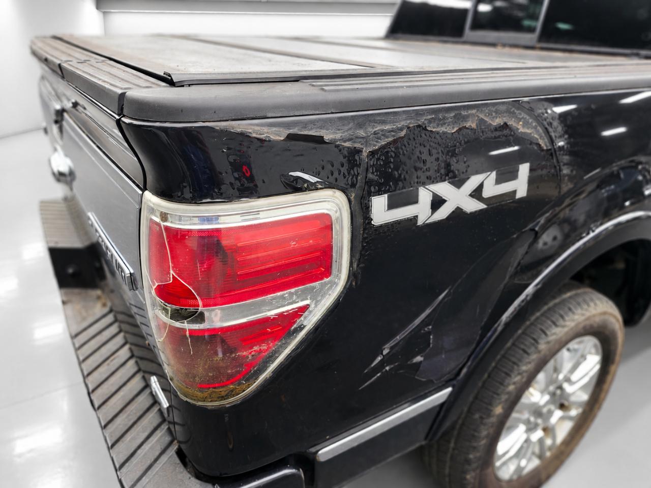 Ford F-150 Platinum SuperCrew 5.5-ft. Bed 4WD 2010