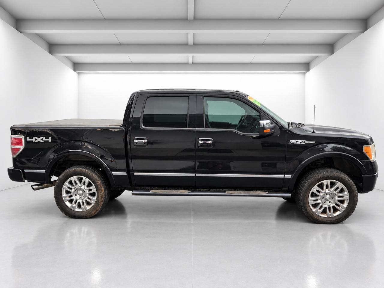 Ford F-150 Platinum SuperCrew 5.5-ft. Bed 4WD 2010