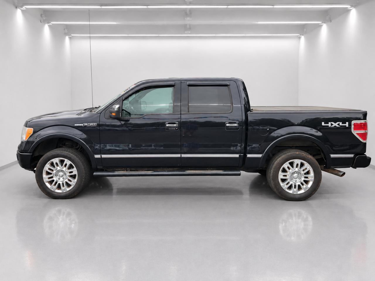 Ford F-150 Platinum SuperCrew 5.5-ft. Bed 4WD 2010