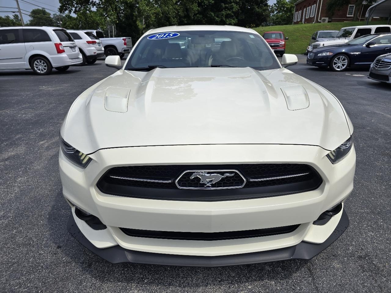 Ford Mustang 50th Anniversary 2015