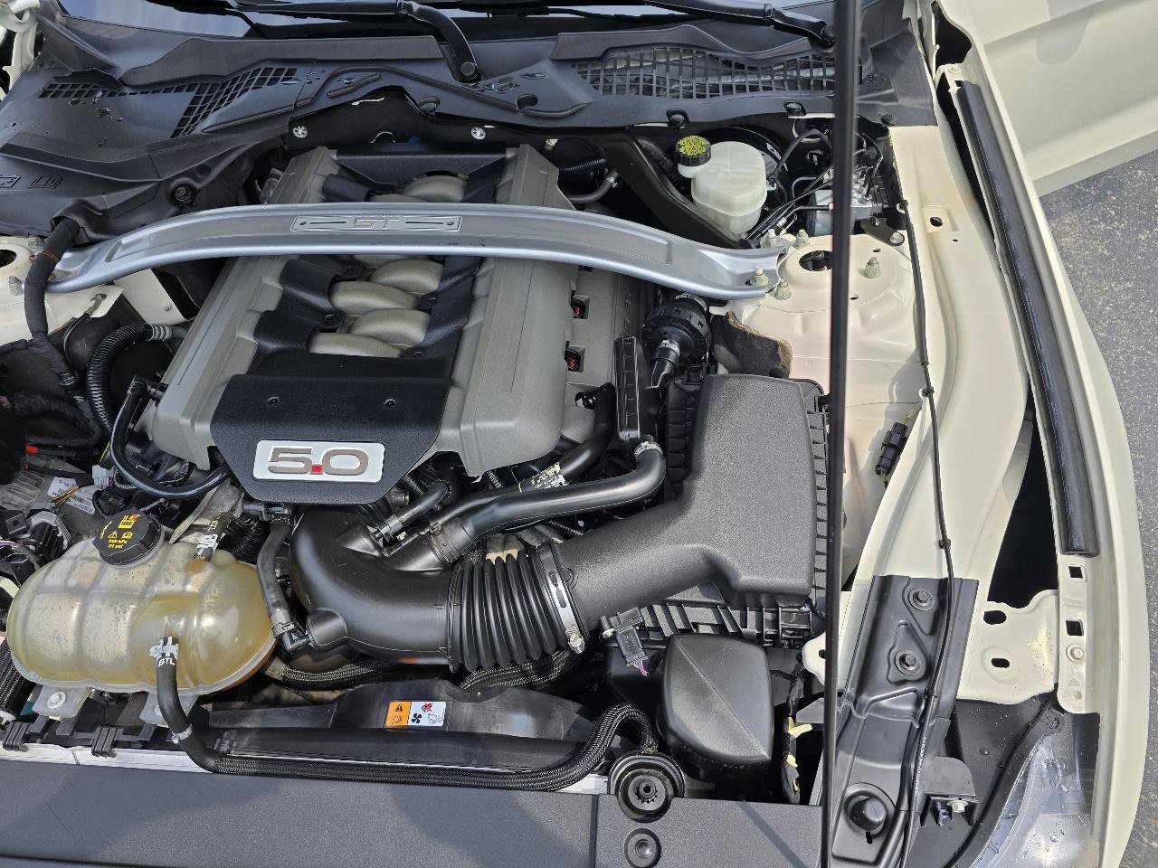 Ford Mustang 50th Anniversary 2015