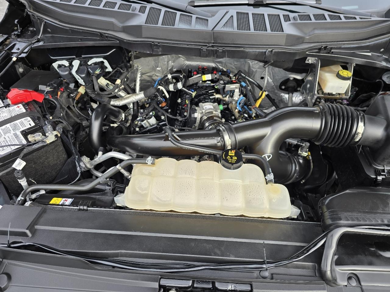 Ford F-150 4WD SuperCab 145" XLT 2021