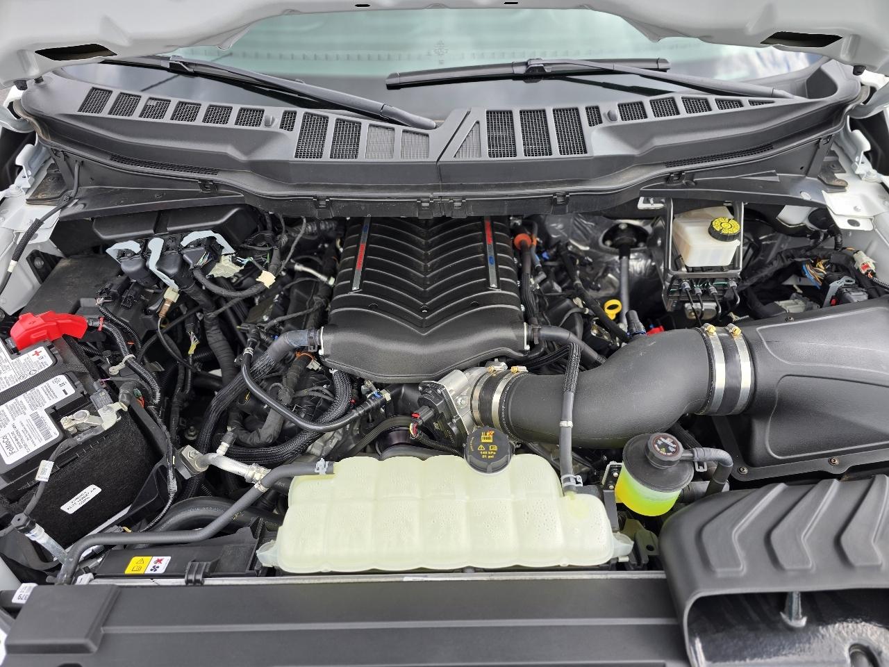 Ford F-150 2WD Reg Cab 122.5" XL 2023