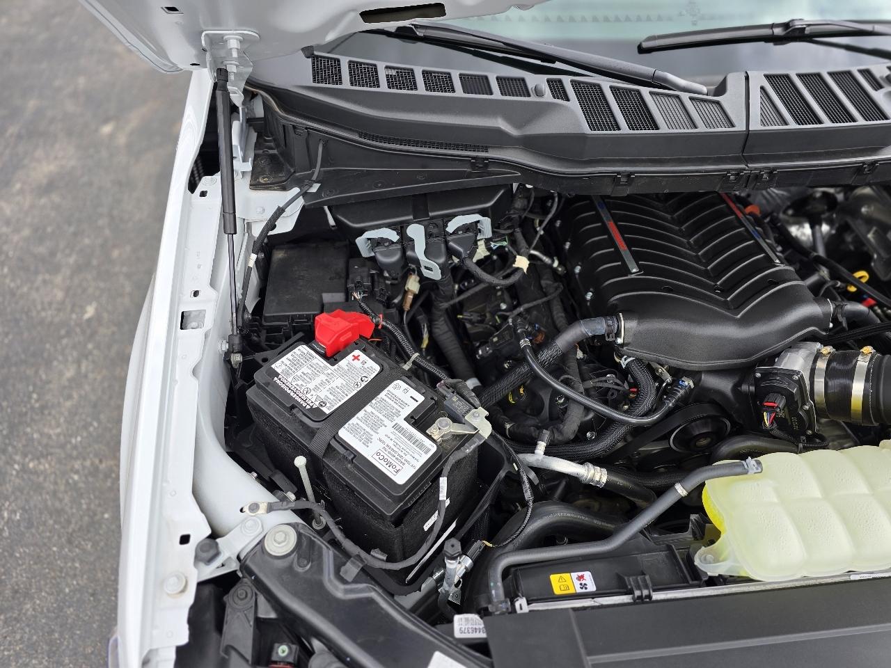 Ford F-150 2WD Reg Cab 122.5" XL 2023