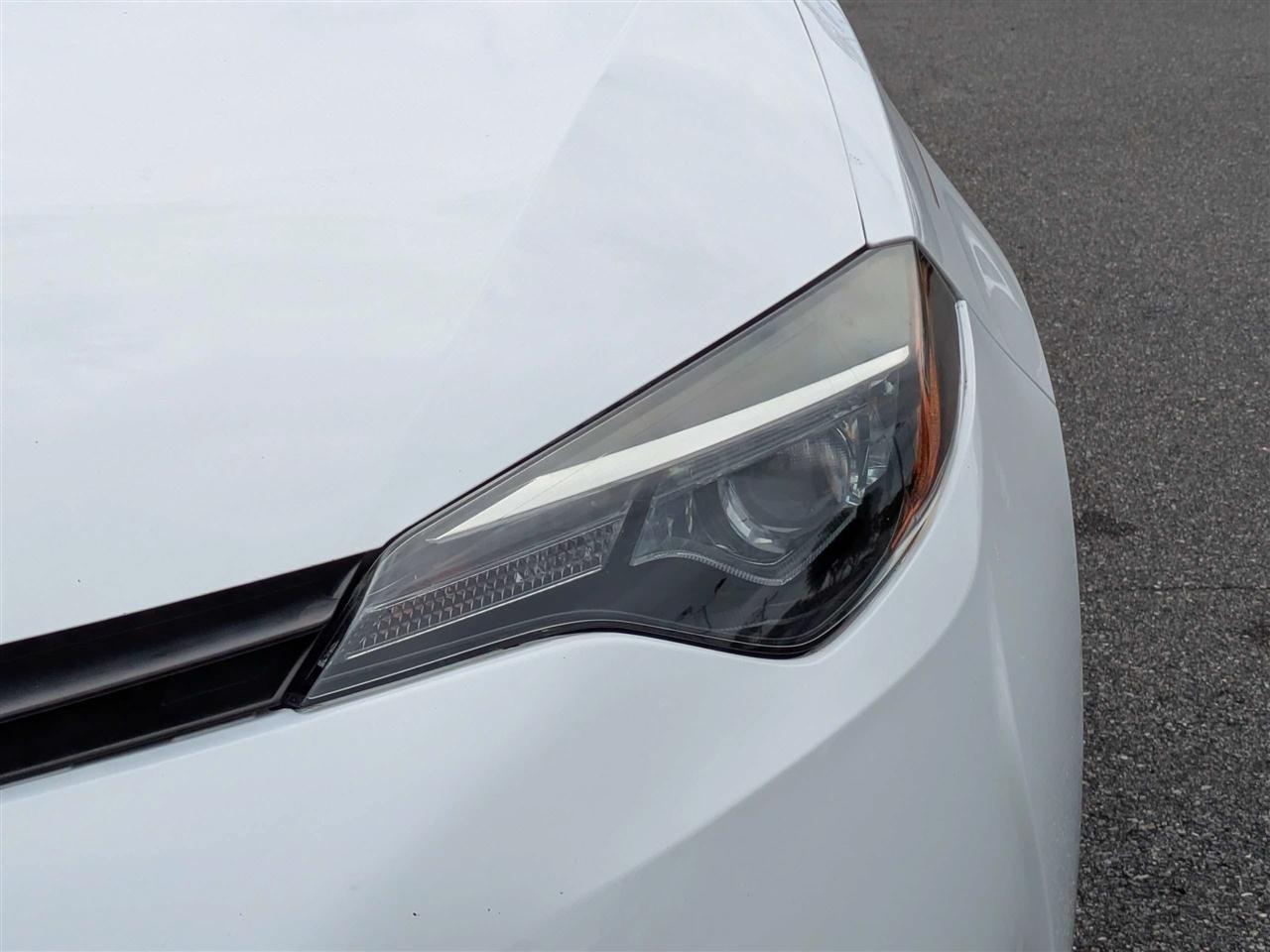 Toyota Corolla LE CVT 2019