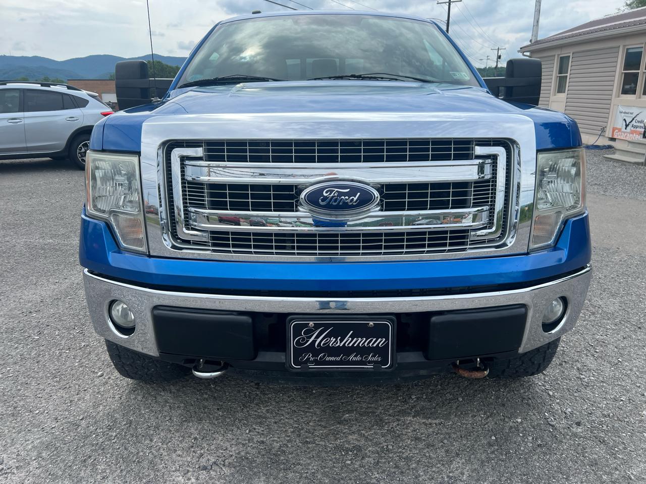 Ford F-150 4WD SuperCrew 139" XLT 2013