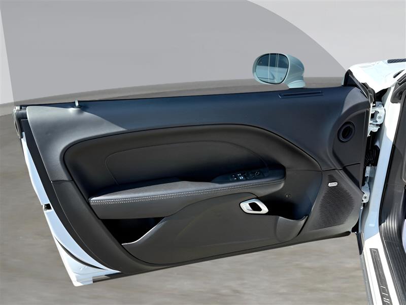 Dodge Challenger R/T SCAT Pack 2019 Dodge Challenger R/T SCAT Pack 2019