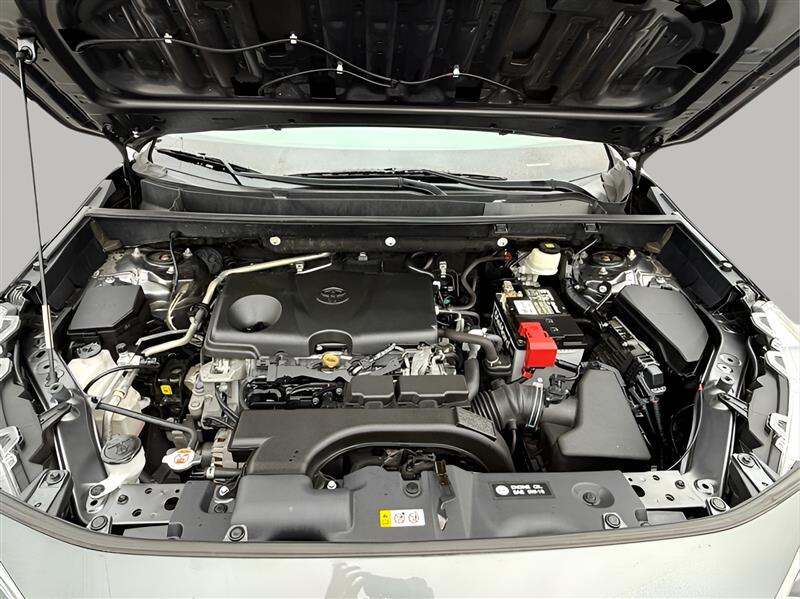 Toyota RAV4 XLE 2019 Toyota RAV4 XLE 2019