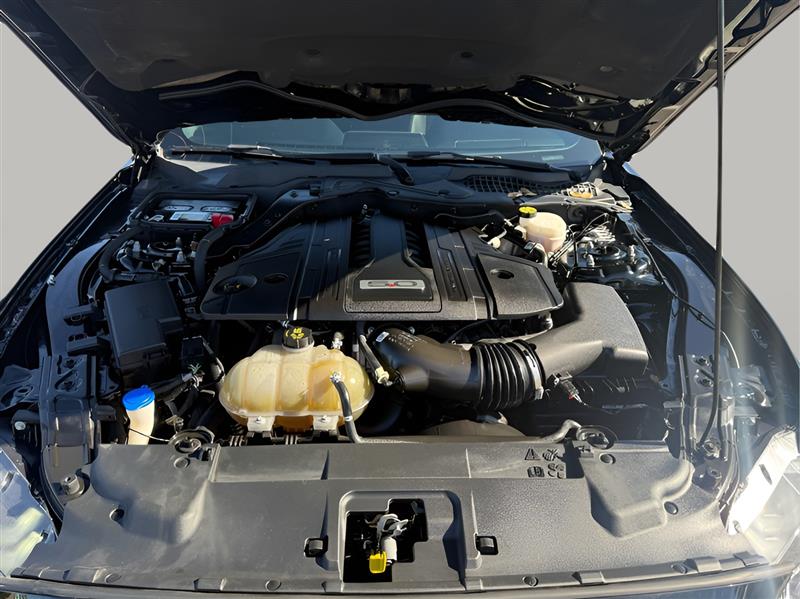 Ford Mustang GT Premium Coupe 2021 Ford Mustang GT Premium Coupe 2021