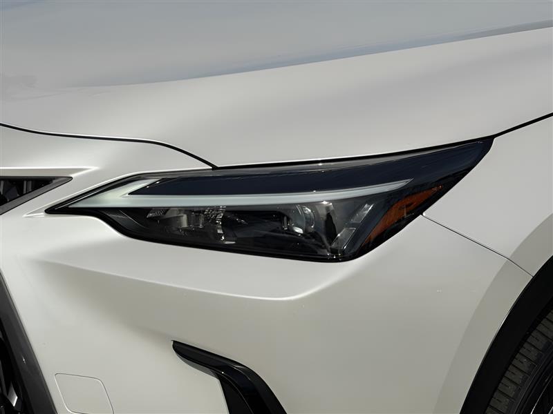 Lexus NX 350h AWD 2024