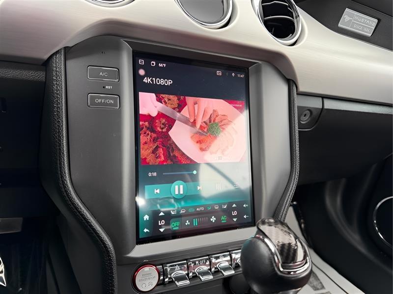 Ford Mustang 2dr Convertible Premium 2015