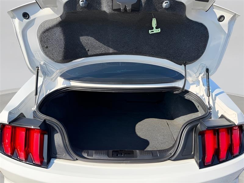 Ford Mustang EcoBoost Coupe 2020