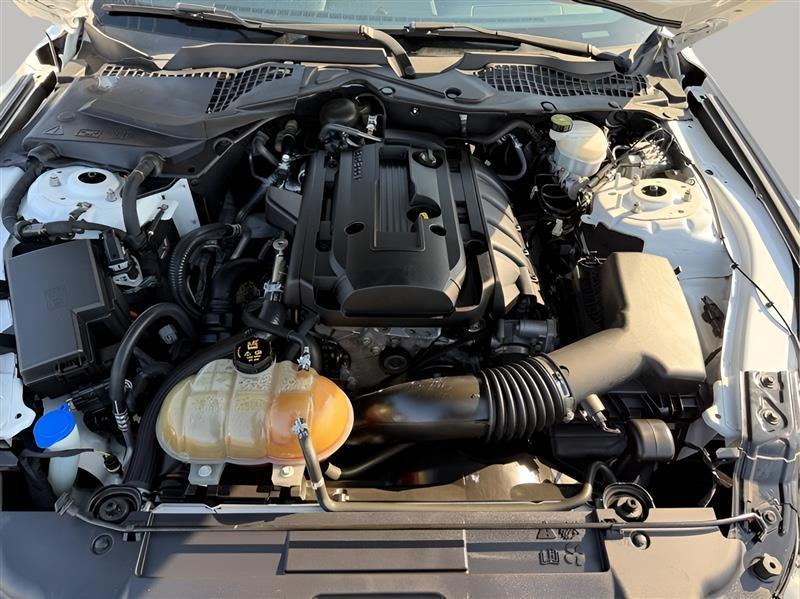 Ford Mustang EcoBoost Coupe 2020