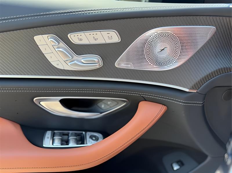 Mercedes-Benz AMG GT AMG GT 53 4-Door Coupe 2024