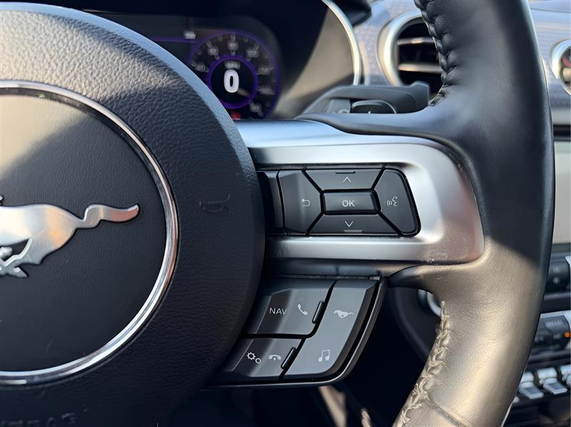 Ford Mustang GT Premium Coupe 2019