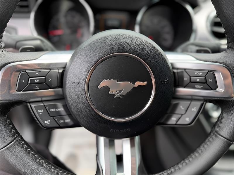 Ford Mustang EcoBoost Coupe 2015