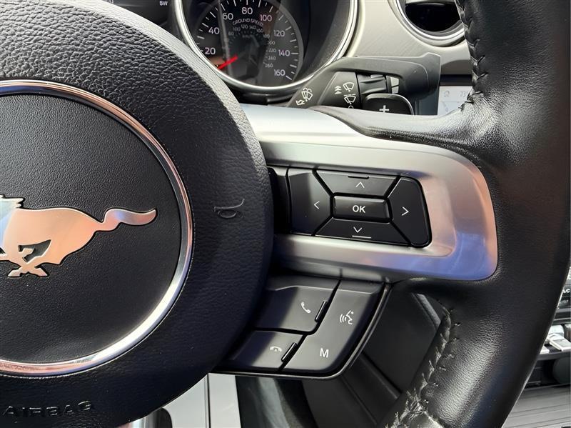 Ford Mustang GT Premium Coupe 2019