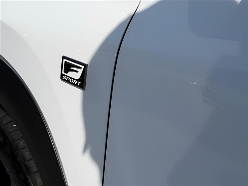 Lexus NX 300 F SPORT 2021