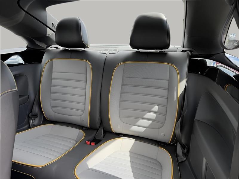 Volkswagen Beetle 2.0T Dune 2018