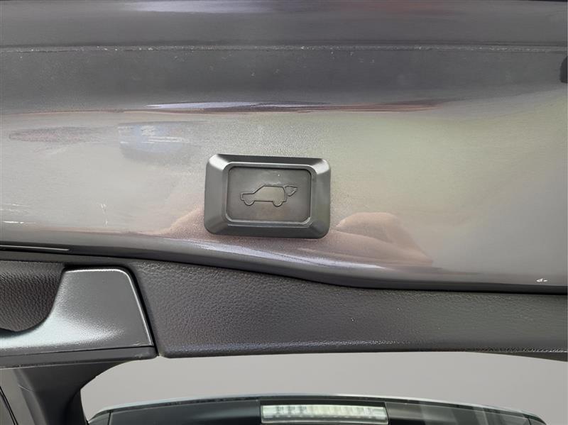 Toyota RAV4 XLE 2019