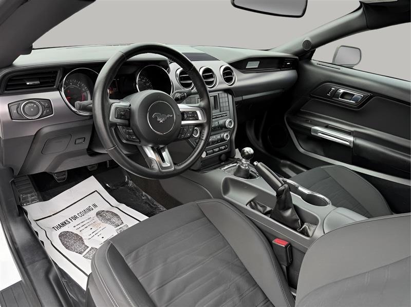 Ford Mustang GT Premium Coupe 2017