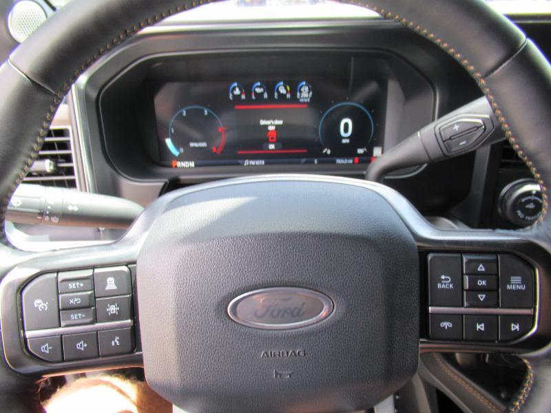 Ford F-450 SD Platinum Crew Cab DRW 4WD 2024