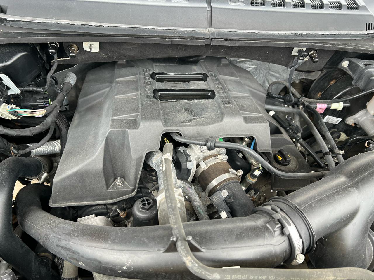 Ford F-150 XLT SuperCrew 4WD 2020