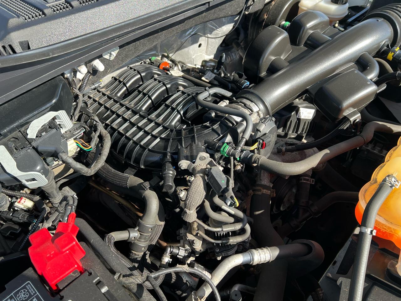 Ford F-150 XLT 2WD Reg Cab 8' Box 2019