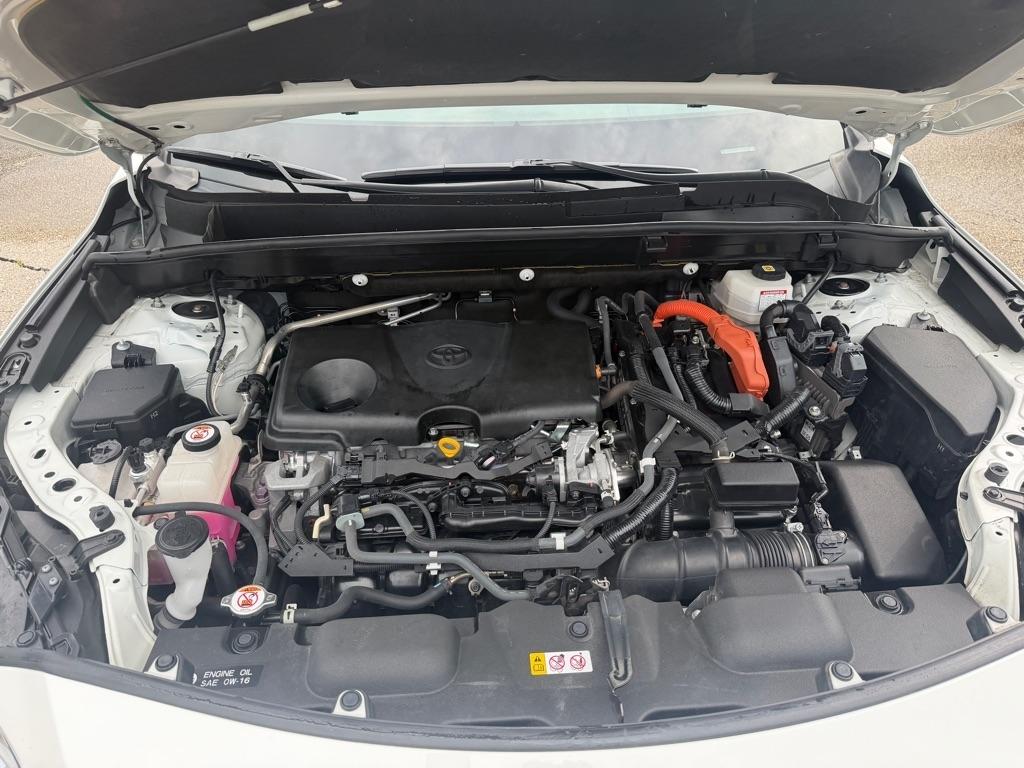 Toyota Venza Limited AWD (Natl) 2021