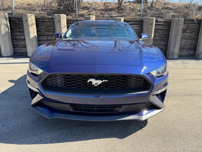 Ford Mustang EcoBoost Coupe 2019