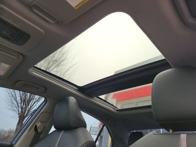 Toyota Camry TRD V6 Auto (Natl) 2023