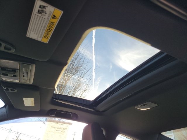 Honda Civic Si Coupe Manual w/Summer Tires 2020